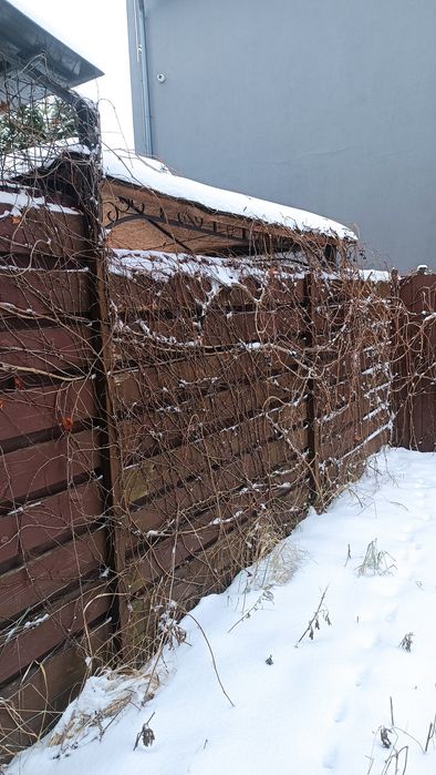 Продаж котеджу Щасливе, вулиця Різдвяна