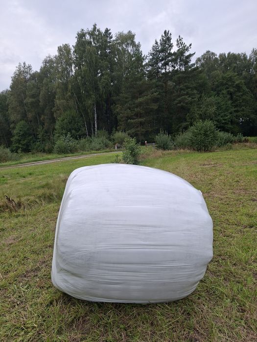 Sprzedam sianokiszonke