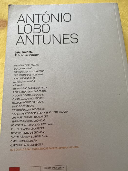 Lote 2 livros/  Lobo Antunes/ Mario Vargas Losa