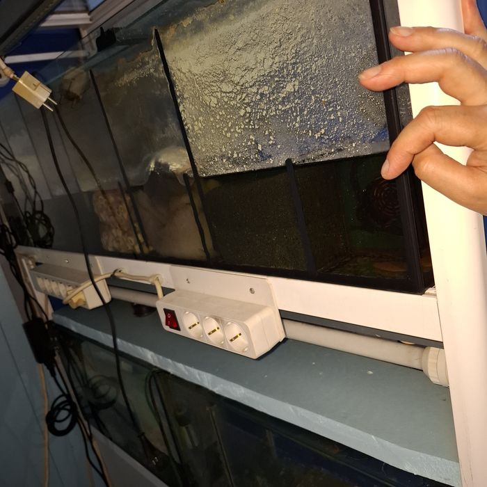 Bateria  de peixes