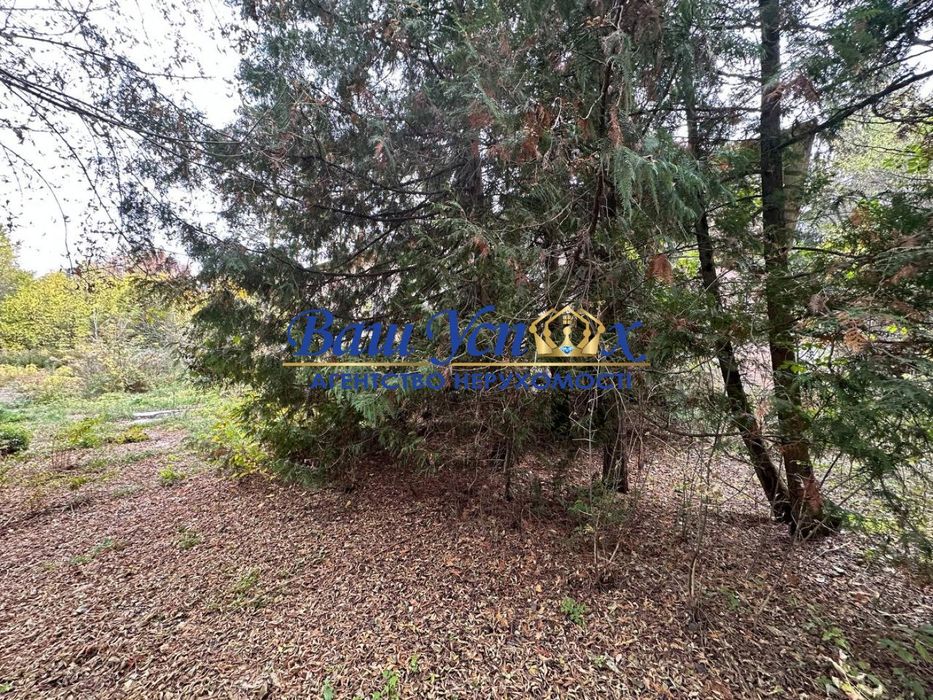 Продажа базы отдыха в лесу  село Баришевка .Броварской район.