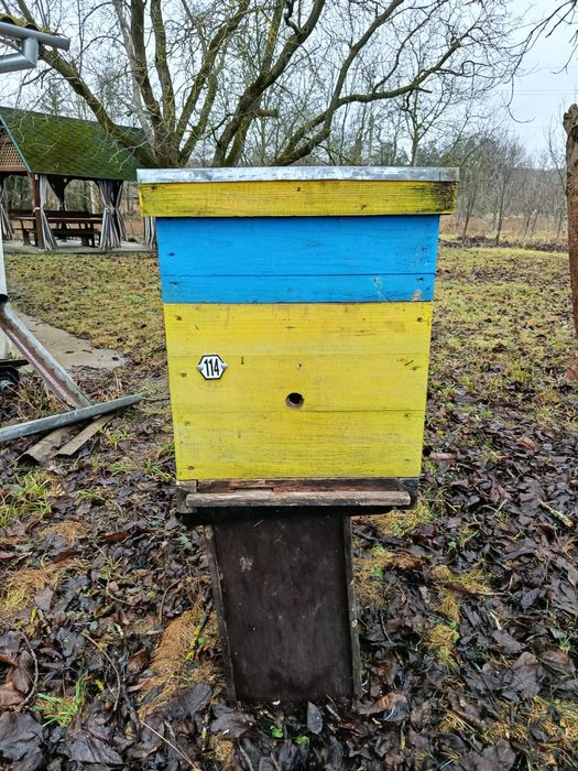 Вулик Дадан 10 рамок 300 + 145