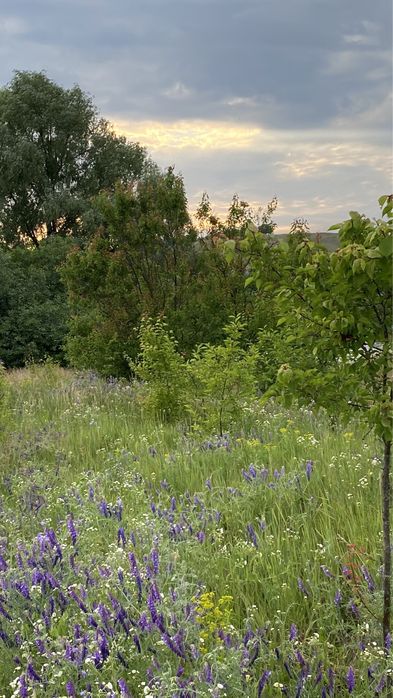 Мазанка + Ділянка 51сот. біля води, Обухів р-н. с. Красне Перше