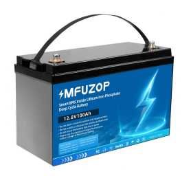 аккумулятор LifePo4 12v 100A BMS ‼️КАЧЕСТВО НОВЫЙ‼️ батарея акумулятор