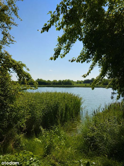 Przestronny dom z ogrodem nad zalewem Psarskie k. Śremu Duży potencjał