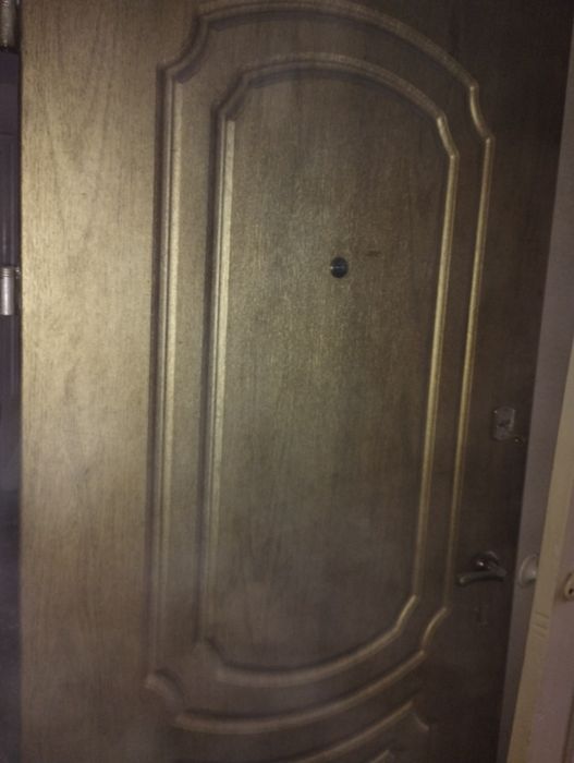 Вхідні двері  ( б/у)