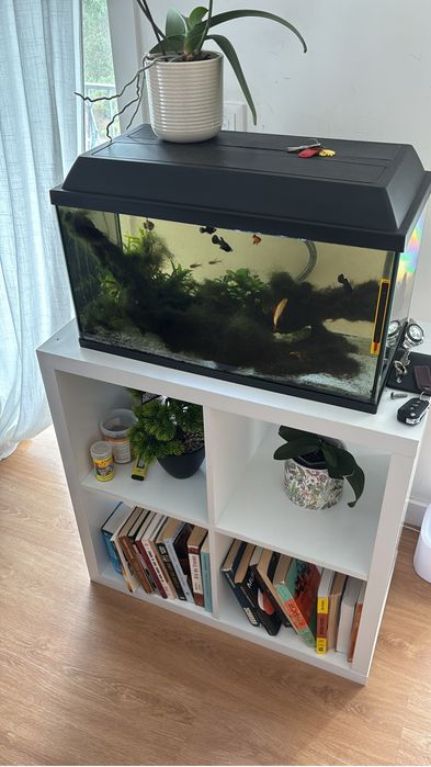 Aquario 60x35:30