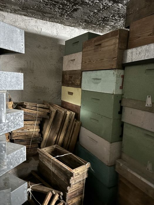 Colmeias favos , ninhos