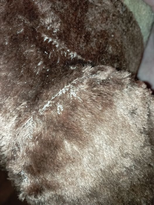 Miś trociniak PRL ,