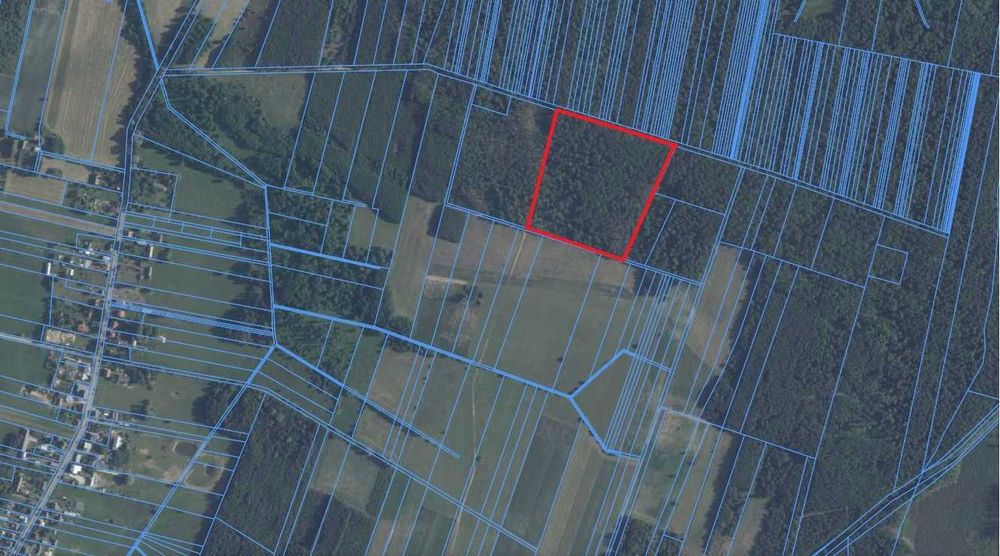 Sprzedam las 4,28 ha – Stoczek, powiat węgrowski