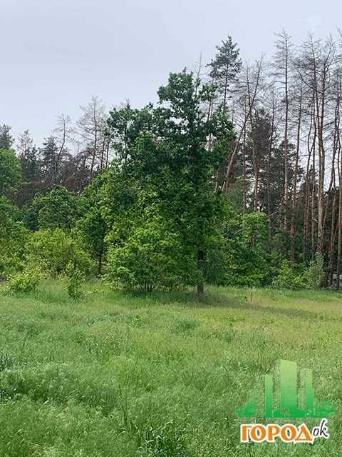 Продаж земельної ділянки село Свидівок