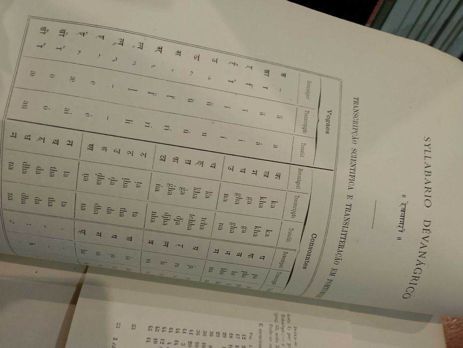 Investigações sobre o Caracter da Civilização Árya-Hindu 1878