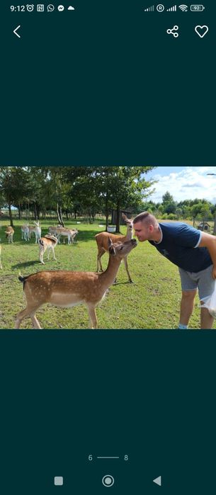 Daniele zdrowe zadbane