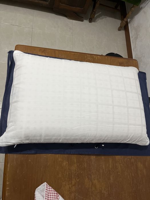 Almofada Molaflex Brasilia 40x60