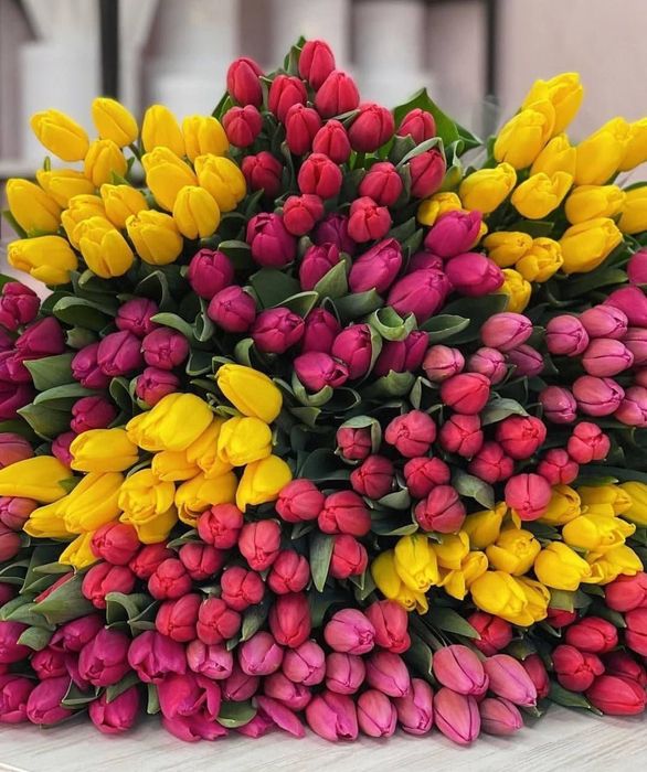 Тюльпани к 8 березня оптом і в роздріб від виробника з доставкою
