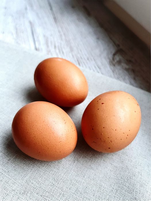 Świeże jaja wiejskie