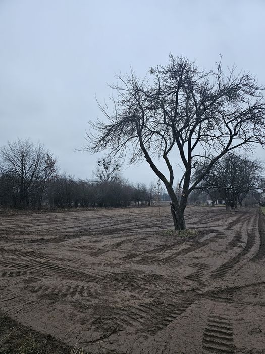 Karczowanie mulczer wgłębny mulczer leśny mulczowanie wycinka drzew