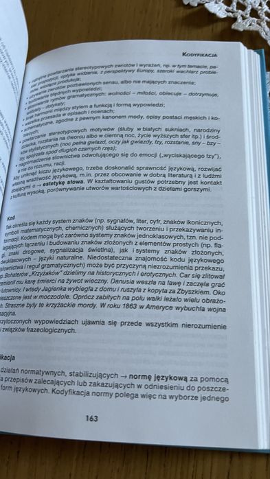 Słownik wiedzy o języku Iwona Płóciennik