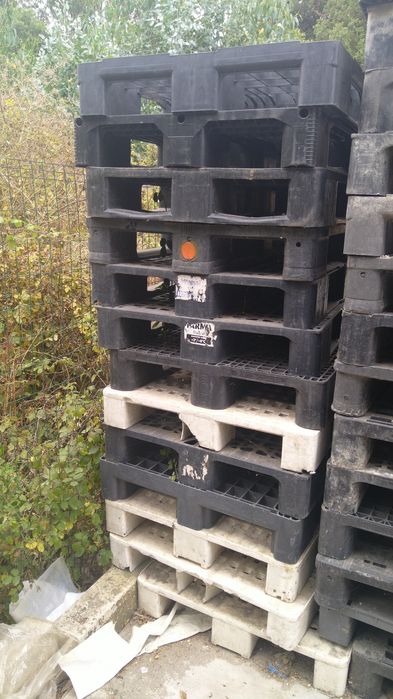 Paletes de plástico