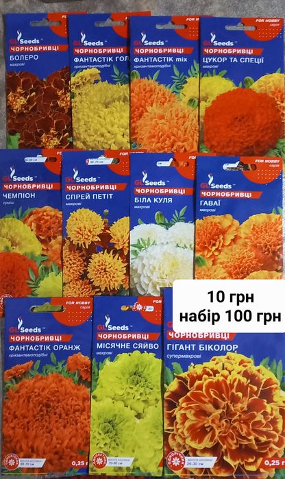 Насіння чорнобривців