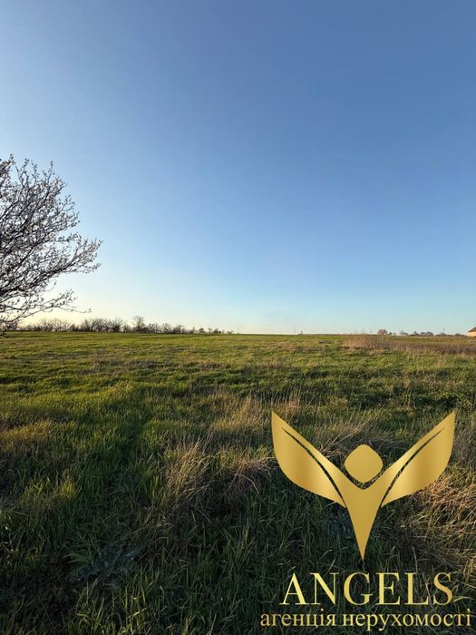 Продаж землі 75 соток приватизована с.Созонівка