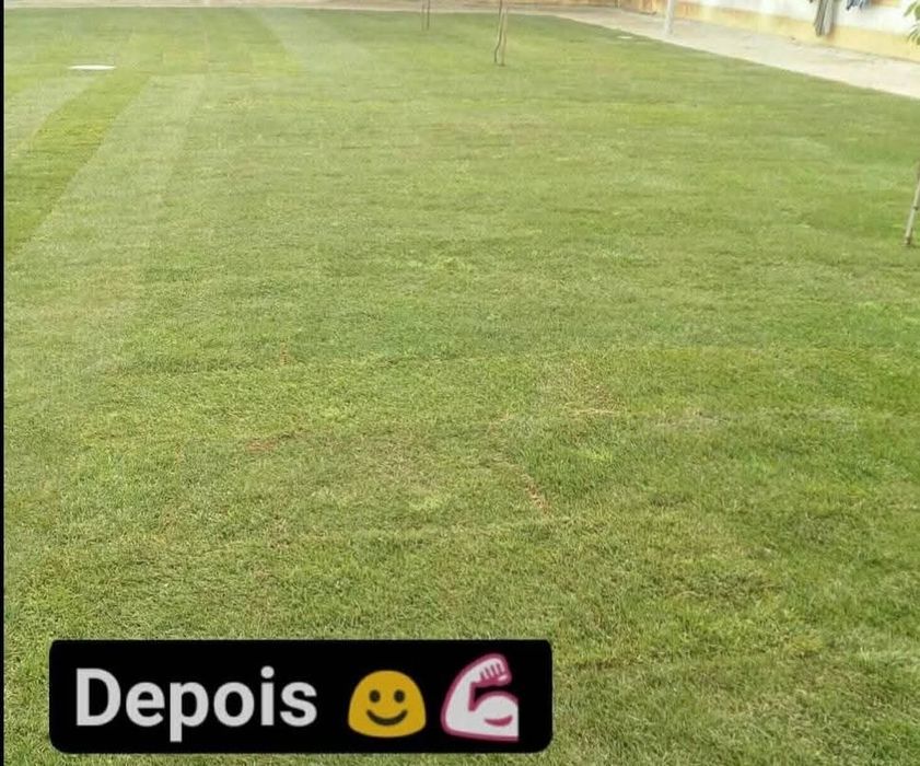 Limpeza e manutencao de jardins e quintais