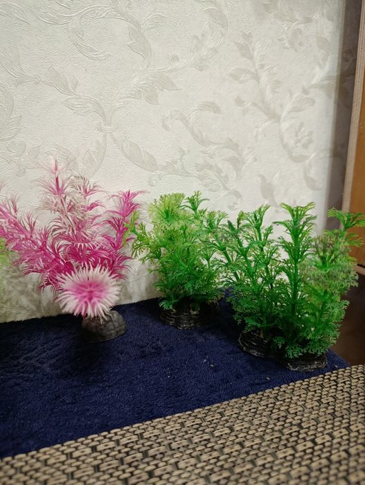 Все для аквариума