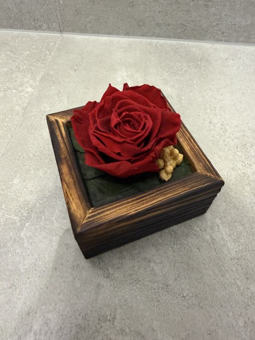 Kompozycja w drewnianej skrzynce - czerwona róża