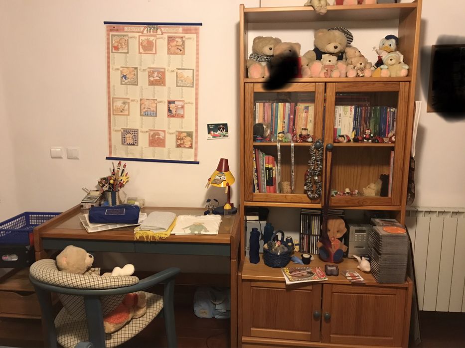 Desk set + shelf + chair64585538450818120