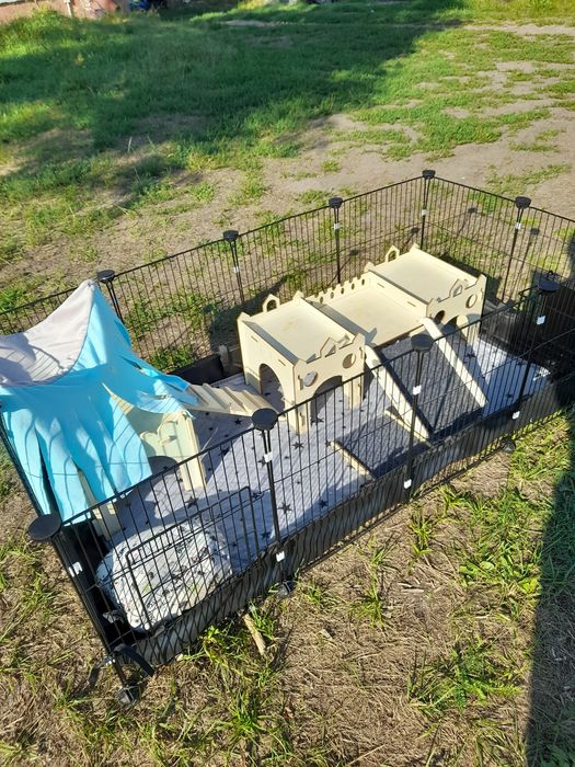 Klatka kojec dla królika, świnki morskiej