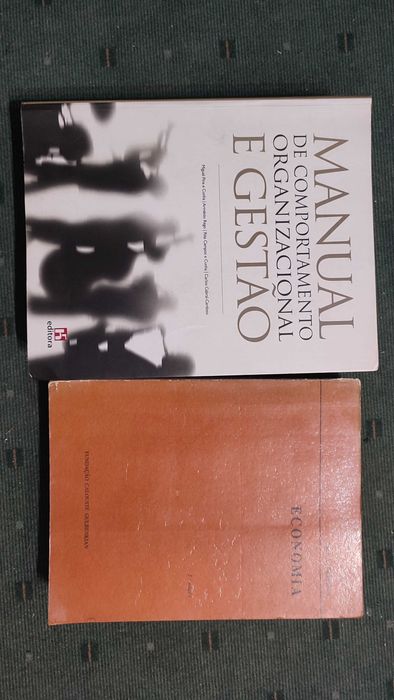 2 Livros Técnicos de Economia e Gestão