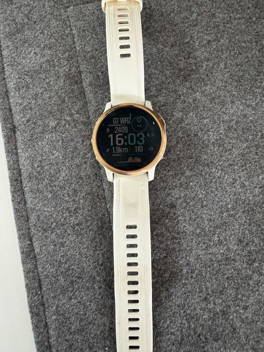 GARMIN fenix 6S Sapphire