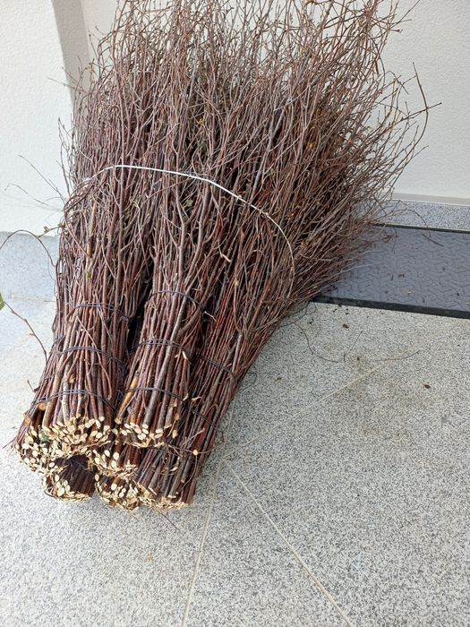 miotły brzozowe  trzy razy wiązane 8.5zł +23%Vat