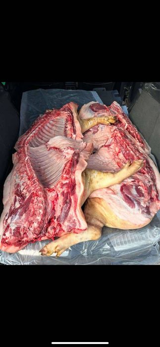 Продаж домашнього свиного м'яса Тушка 138грн 1 кг