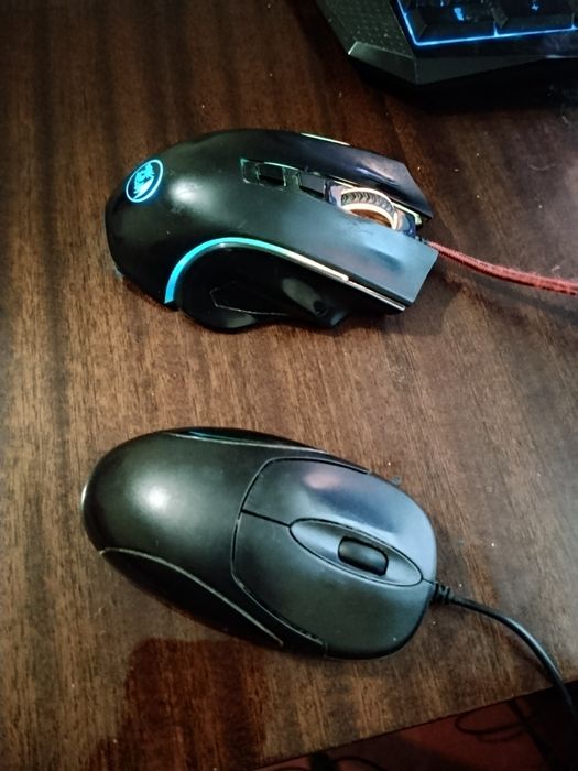 Мишка  250 за одну , дві за 450 гривень