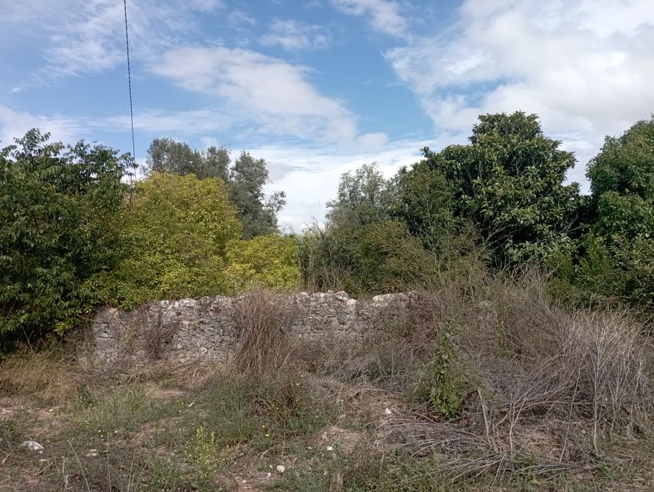 Casa de campo em ruína com terreno