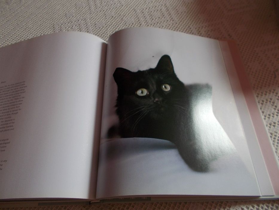 Livro sobre gatos The Cat´s Pajamas