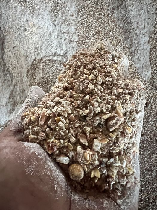 Бита кукурудза з під сушки . На корм тваринам.