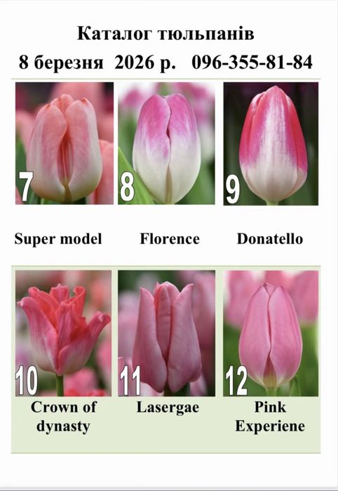 Тюльпани на 8.03 (мілкий гурт)