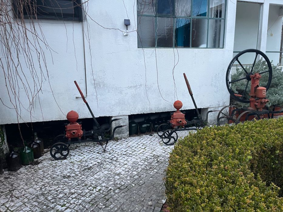 Bomba de Água/Vinho Antiga / Vintage