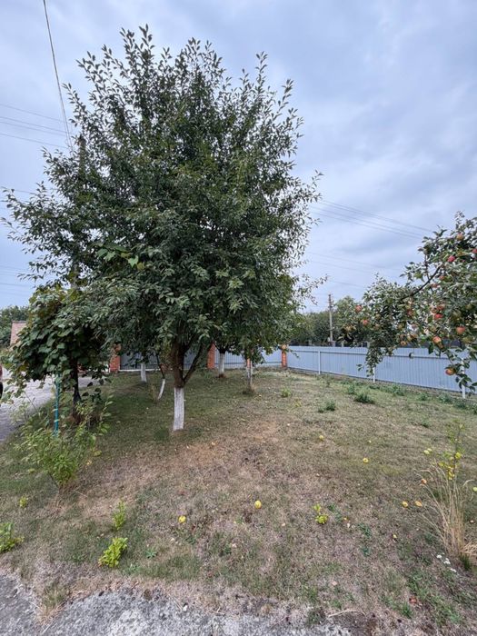 Продаж будинку 200м2, Солонка(сам початок)