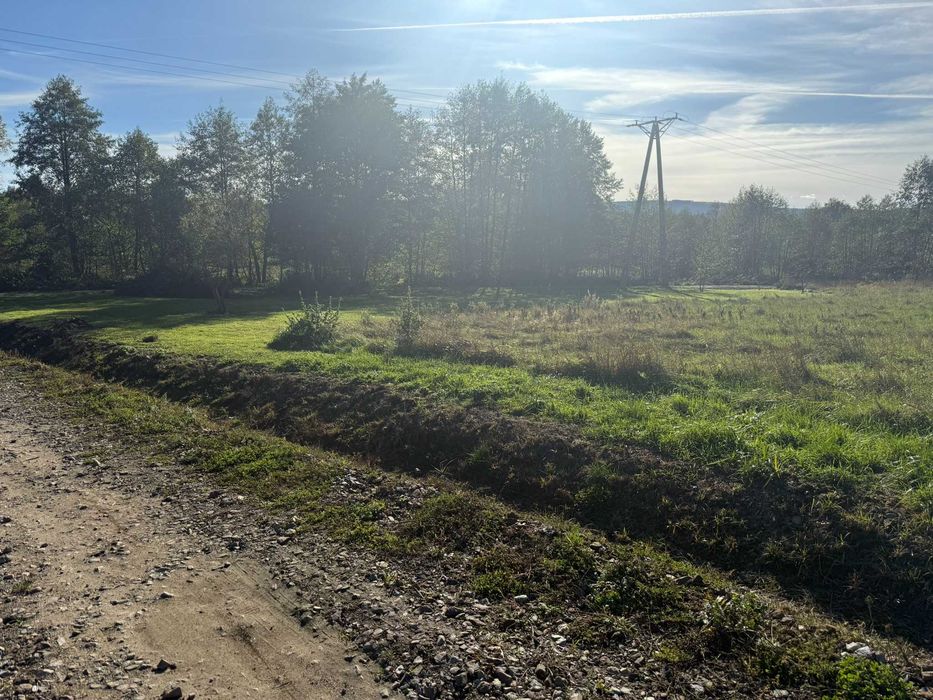 Atrakcyjna działka 1999 m² – dom + działalność w jednym miejscu - Widok 2