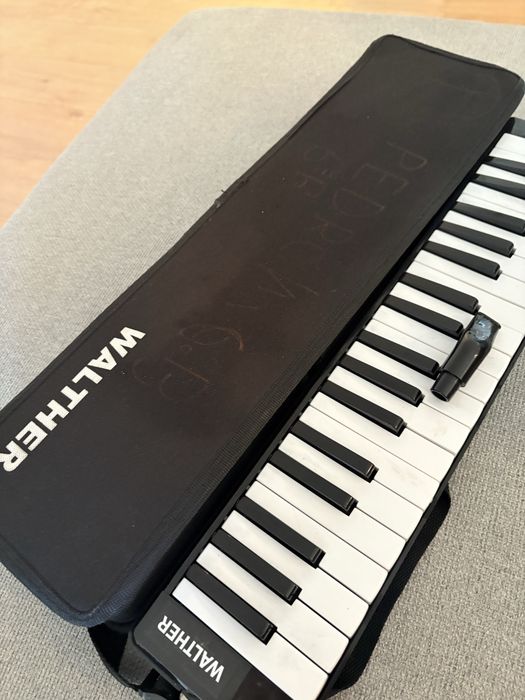 Melodica marca walther con estojo