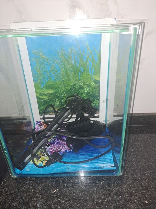 AQUÁRIO  PARA peixinhos  ou um peixe com tudo