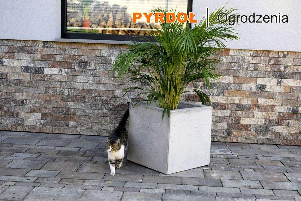 Donica betonowa 250zł