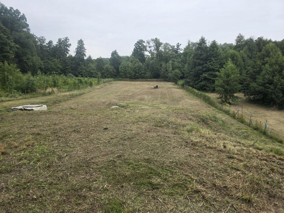 Działka budowlana 3900 m² nad Jeziorem Brodzkim – Jeziory Wysokie woj.lubuskie - Widok 3