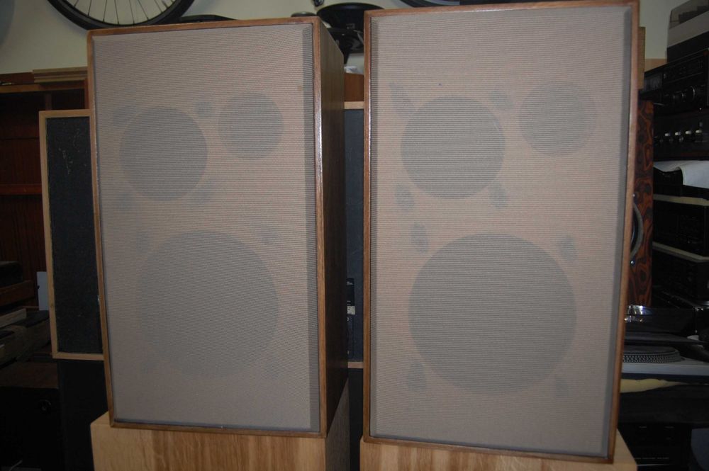 SHARP - AUDAX - pełna rewitalizacja  -RicoZ