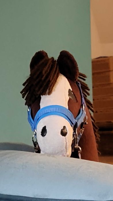 Hobby horse srs