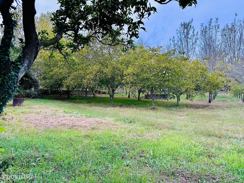 Dois artigos: Urbano com 498 m2 e terreno rústico com 1000 m2 em Vilar