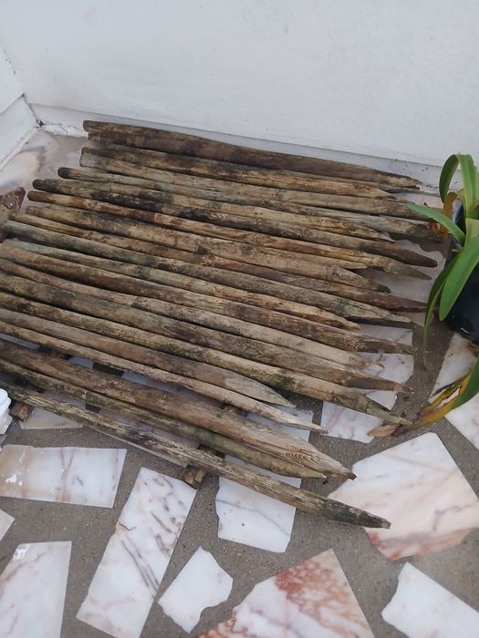 Paus tratados1.20/1.30 tenho cerca de 60 unidades.